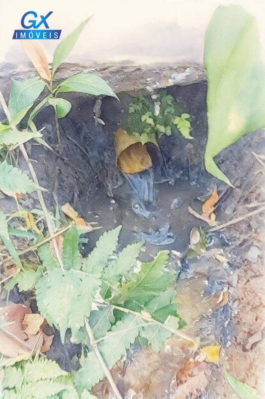 Chácara à venda no bairro Condominio Topazio: 