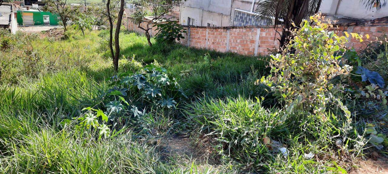 Terreno à venda, 360m² - Foto 3