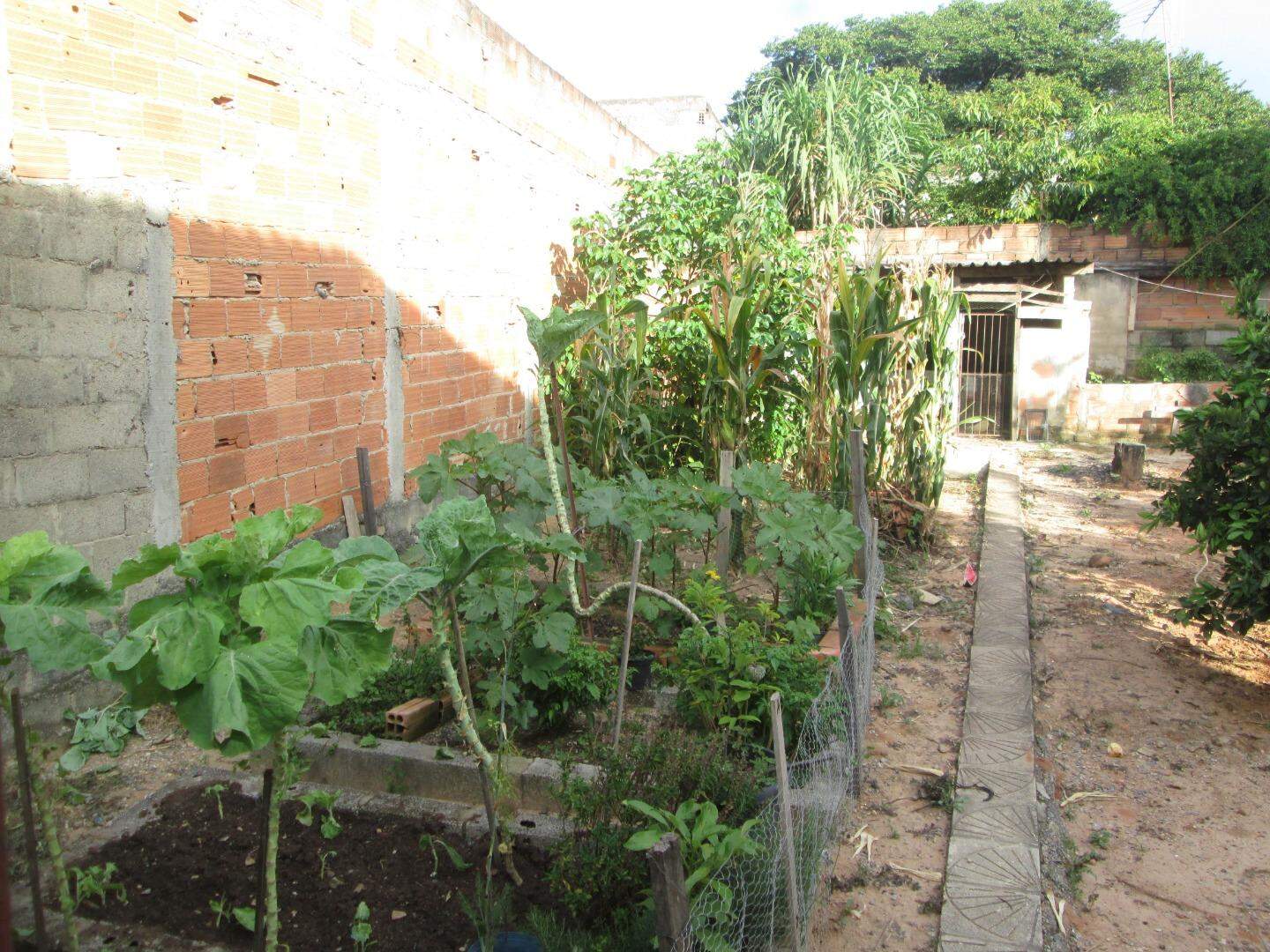 Casa, 3 quartos, 180 m² - Foto 5