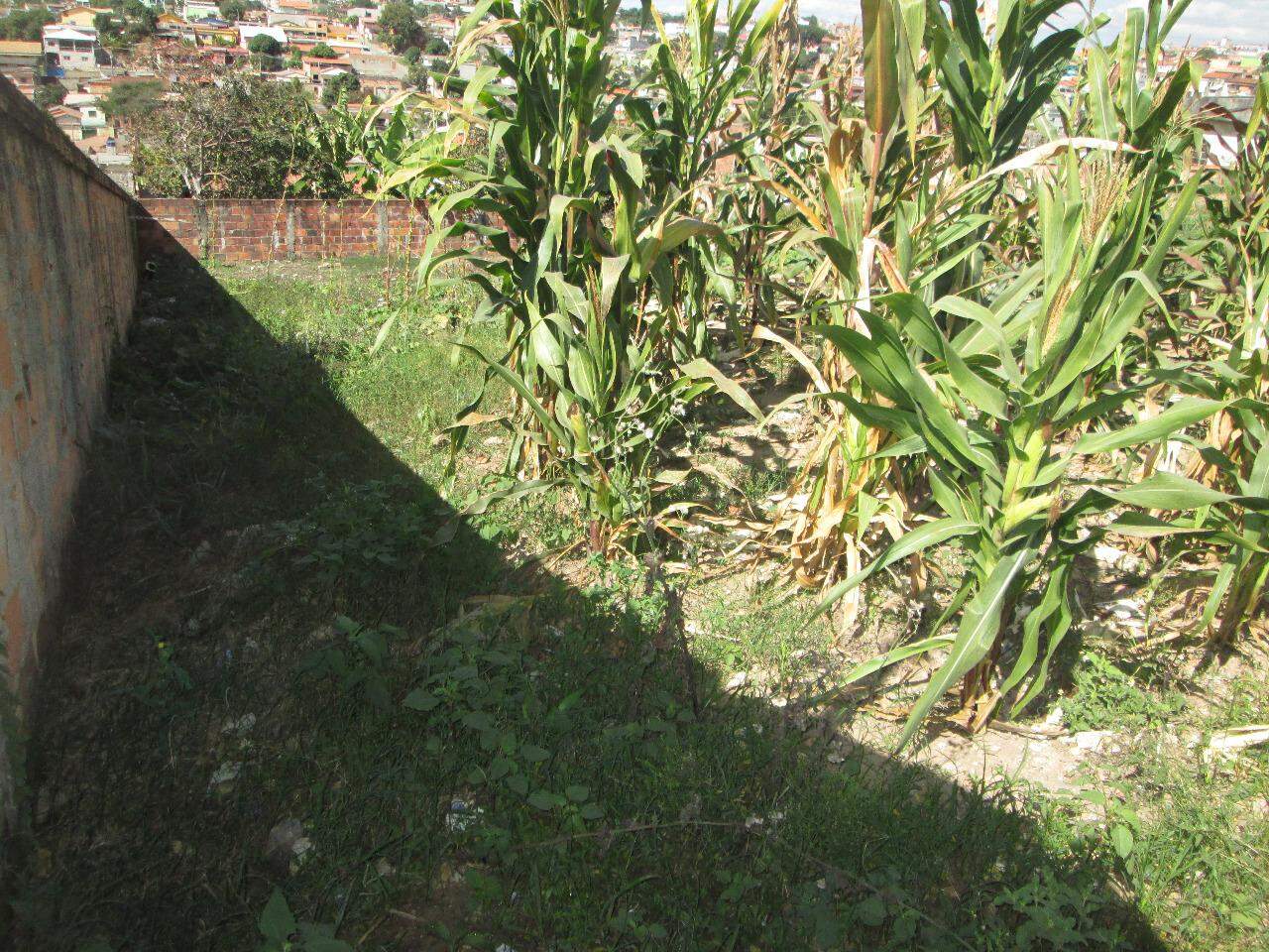 Terreno, 720 m² - Foto 3