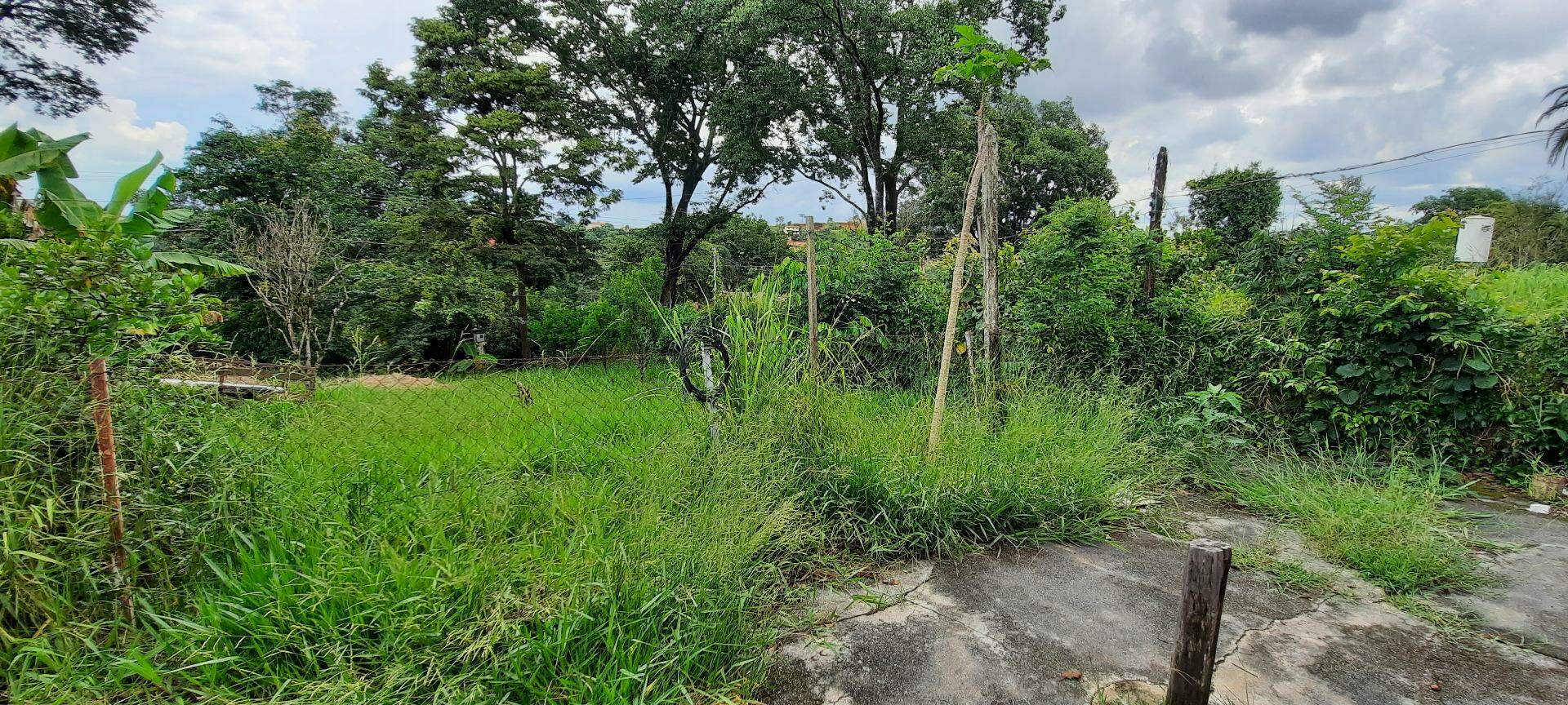 Fazenda à venda com 3 quartos, 120m² - Foto 27