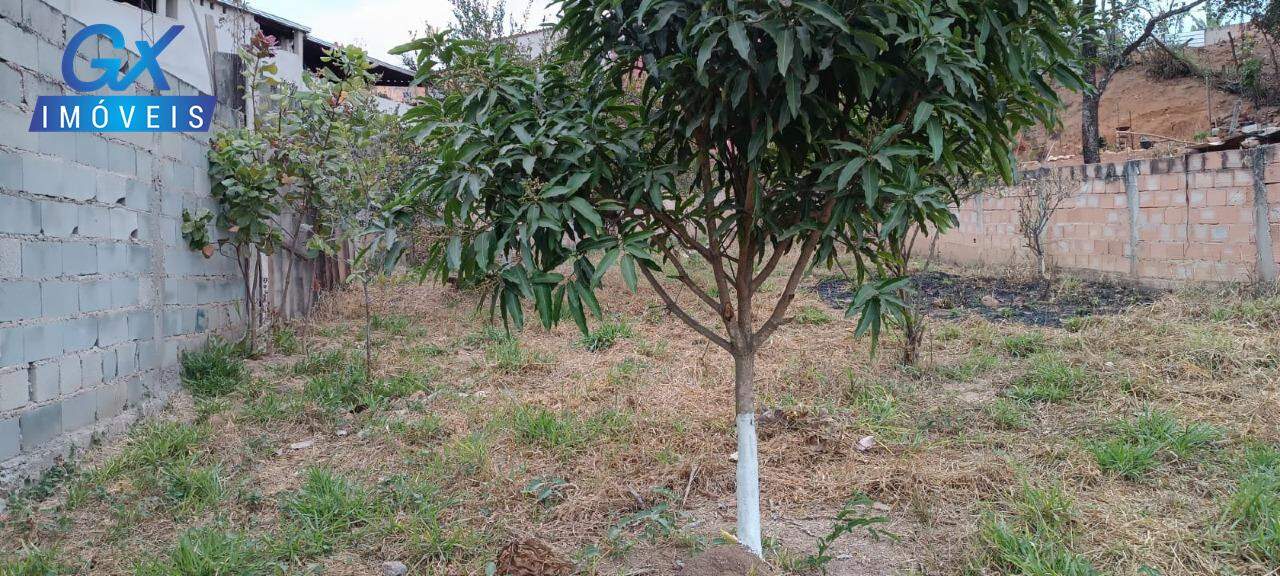 Terreno, 300 m² - Foto 6