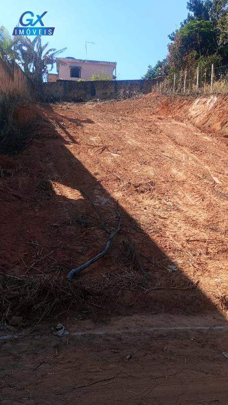 Terreno à venda no bairro Santinho: 