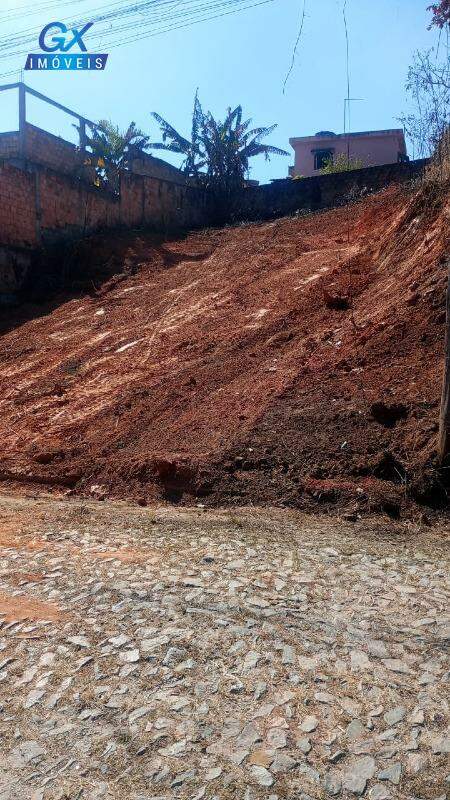 Terreno à venda no bairro Santinho: 
