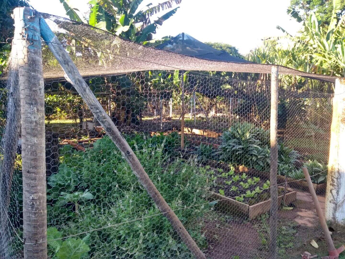 Fazenda à venda com 3 quartos, 120m² - Foto 6