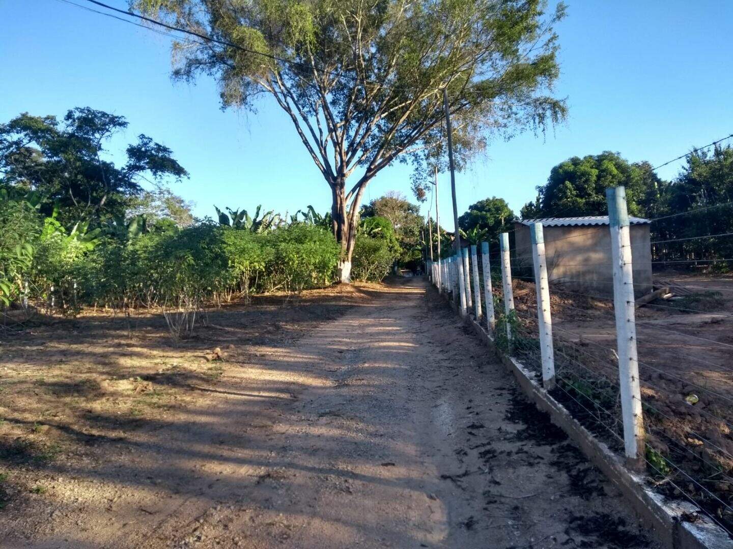 Fazenda à venda com 3 quartos, 120m² - Foto 3