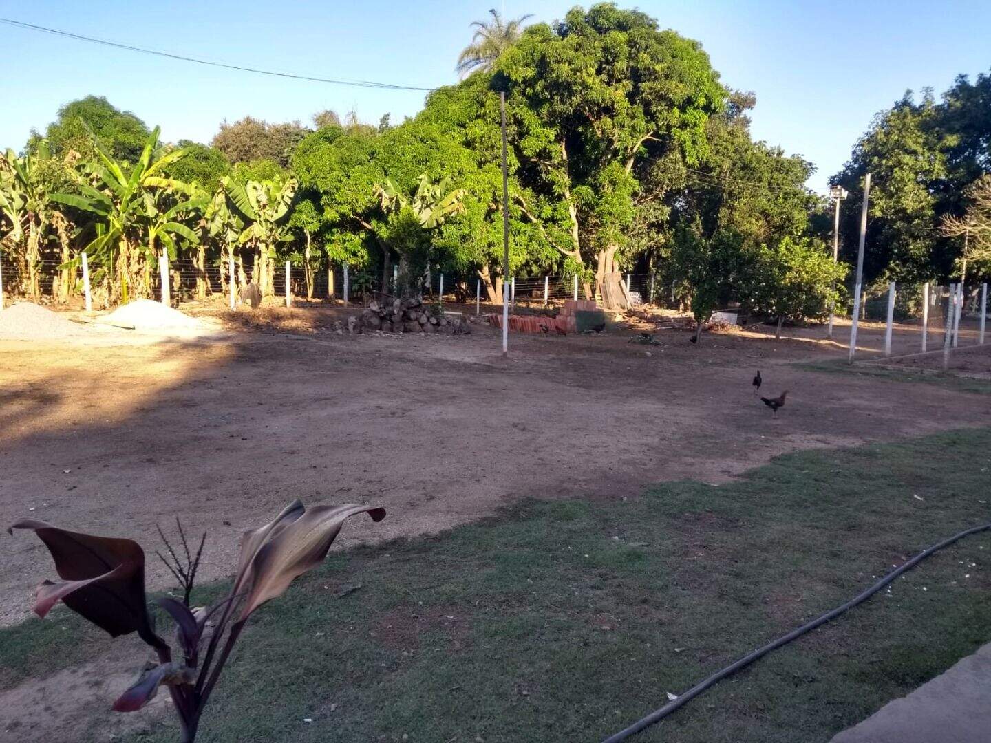 Fazenda à venda com 3 quartos, 120m² - Foto 17