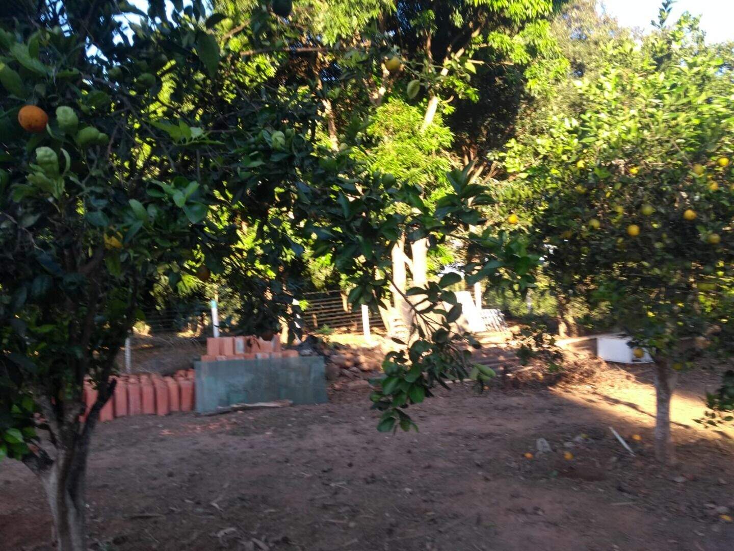 Fazenda à venda com 3 quartos, 120m² - Foto 22