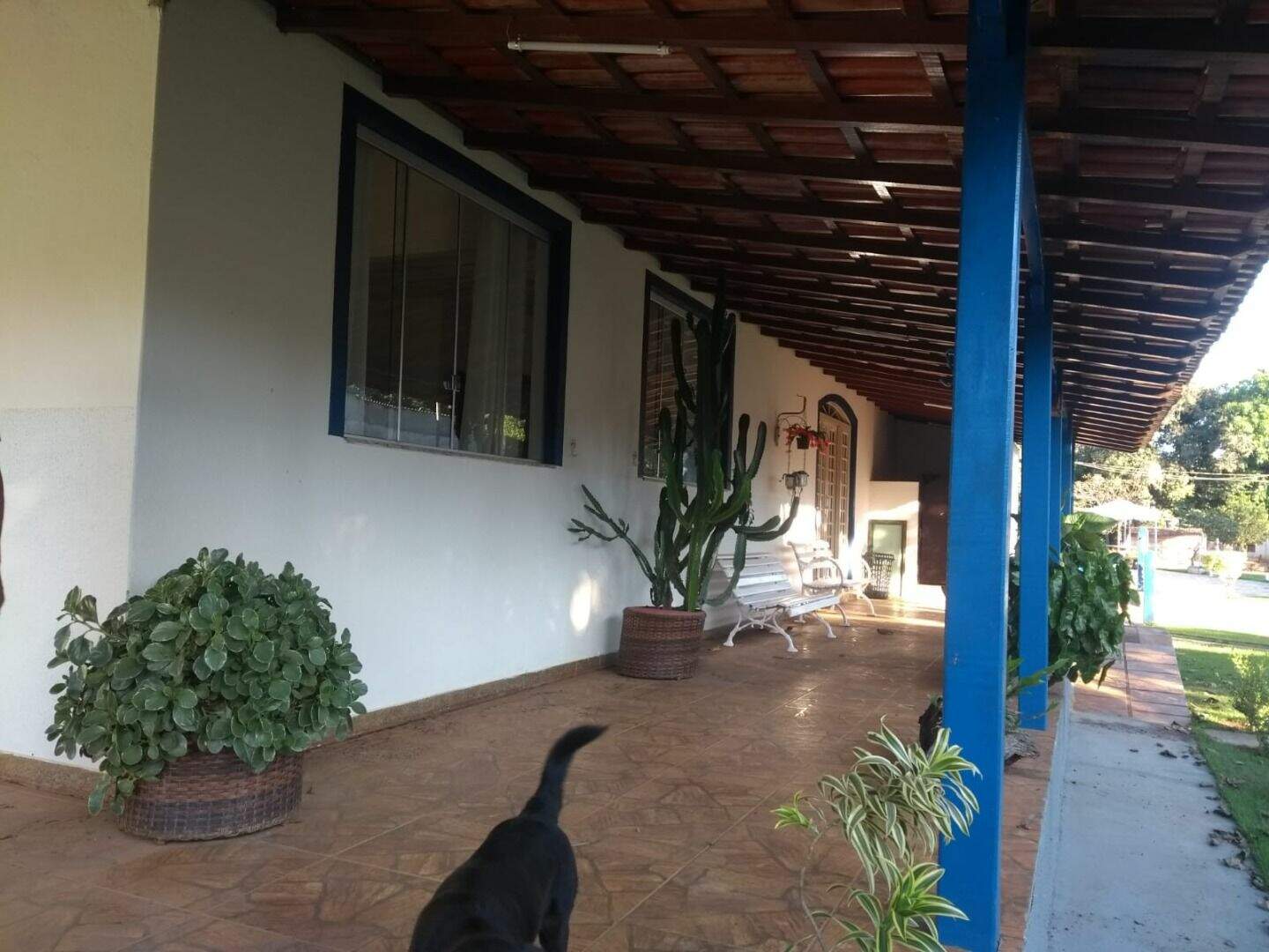 Fazenda à venda com 3 quartos, 120m² - Foto 5