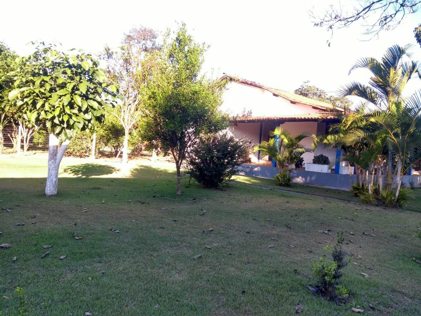 Fazenda à venda com 3 quartos, 120m² - Foto 4