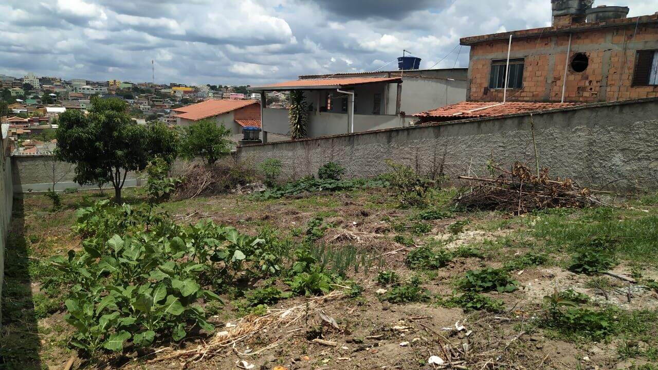 Terreno à venda, 360m² - Foto 6