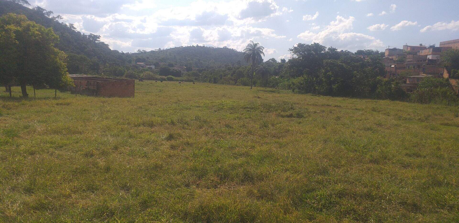 Terreno, 3 hectares - Foto 9