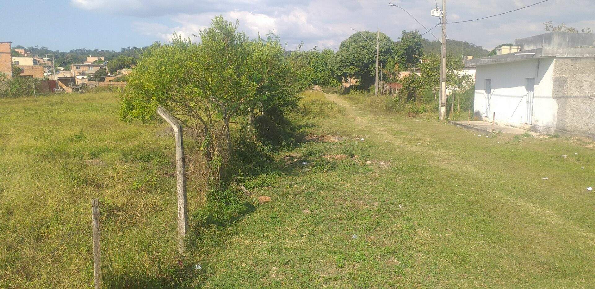 Terreno, 3 hectares - Foto 3