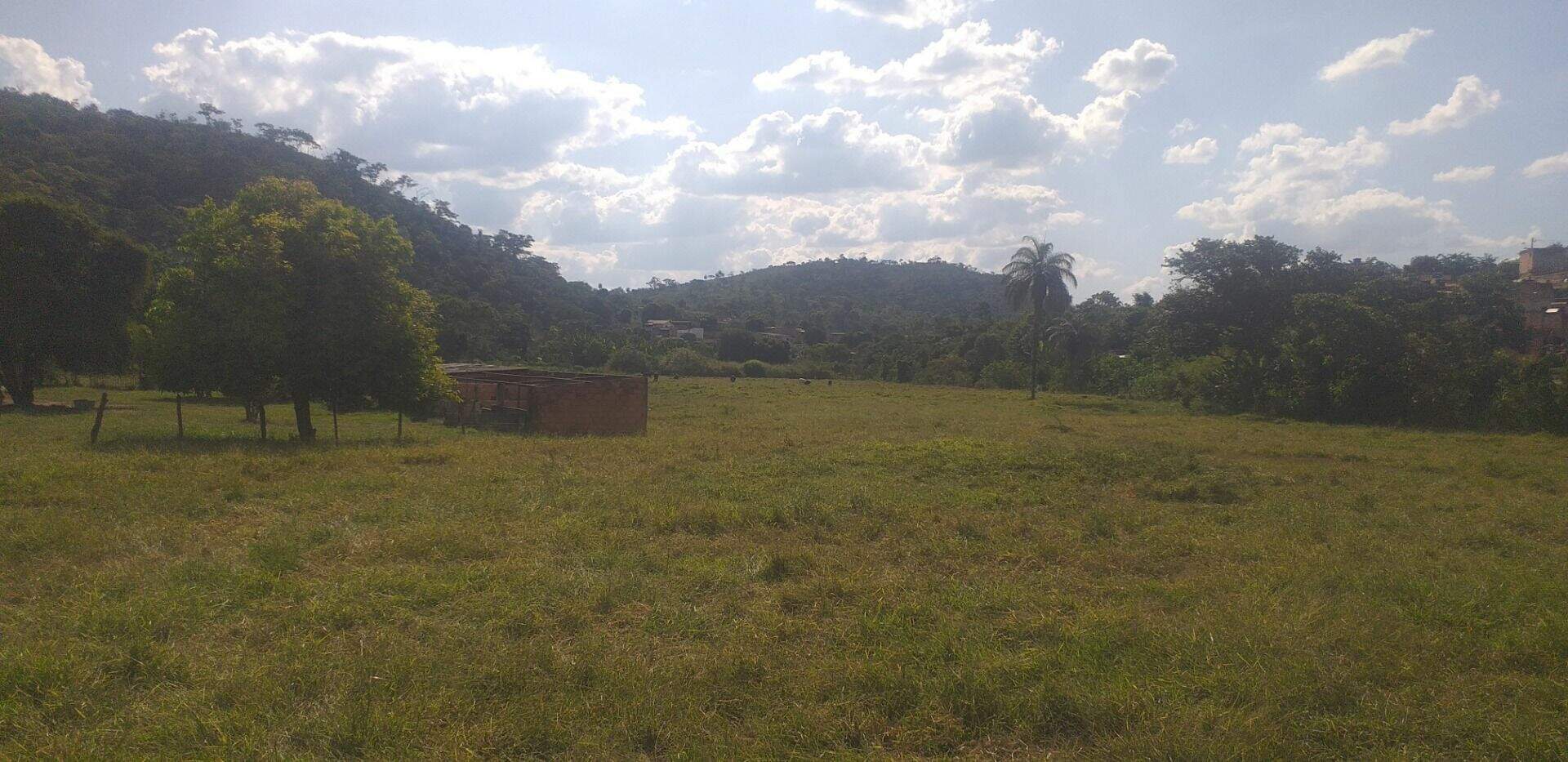 Terreno, 3 hectares - Foto 5