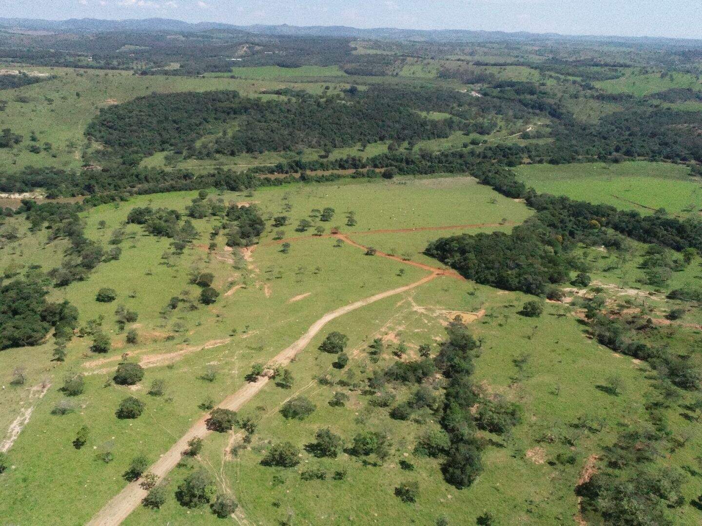 Terreno, 2 hectares - Foto 6