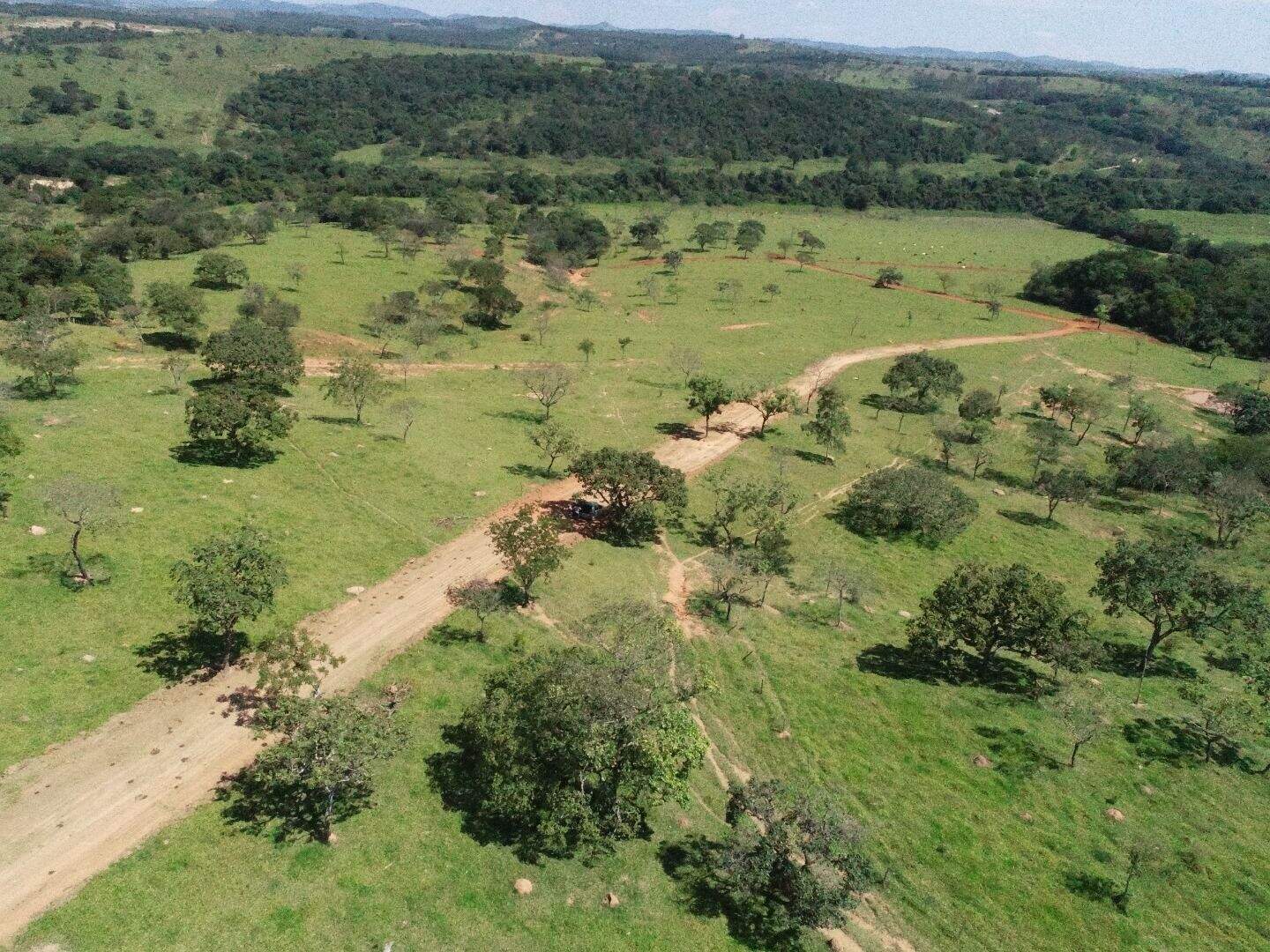 Terreno, 2 hectares - Foto 4