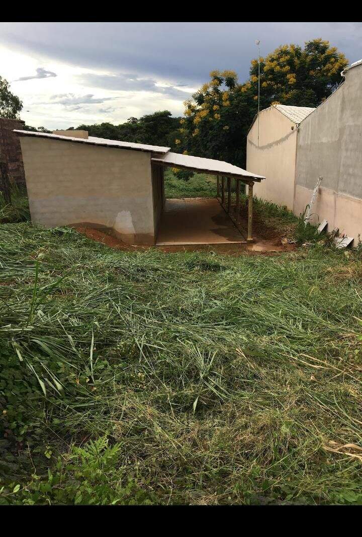 Fazenda à venda com 1 quarto, 40m² - Foto 3