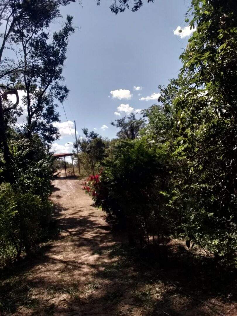 Fazenda à venda com 2 quartos, 10000m² - Foto 22