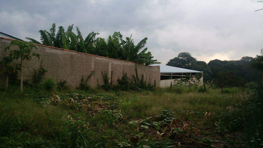 Terreno, 250 m² - Foto 2