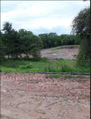 Terreno, 2 hectares - Foto 8