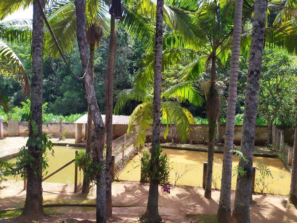 Chácara à venda no Jardim São Gabriel: 