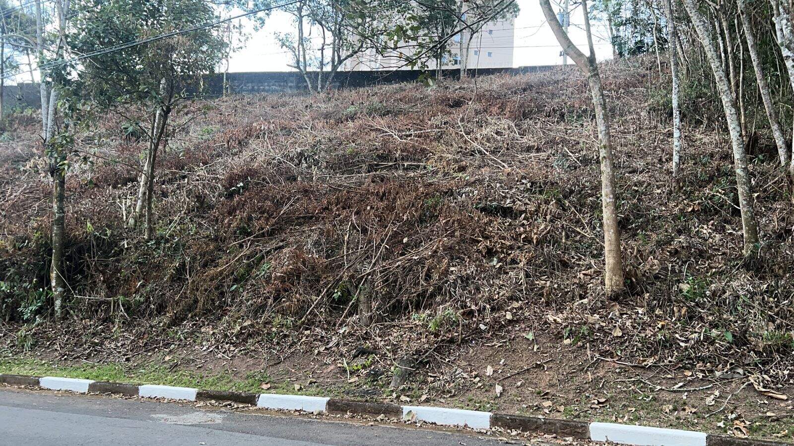 Terreno à venda no Arujazinho I: 