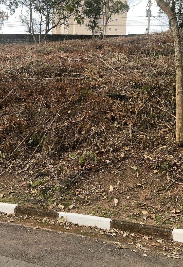 Terreno à venda no Arujazinho I: 