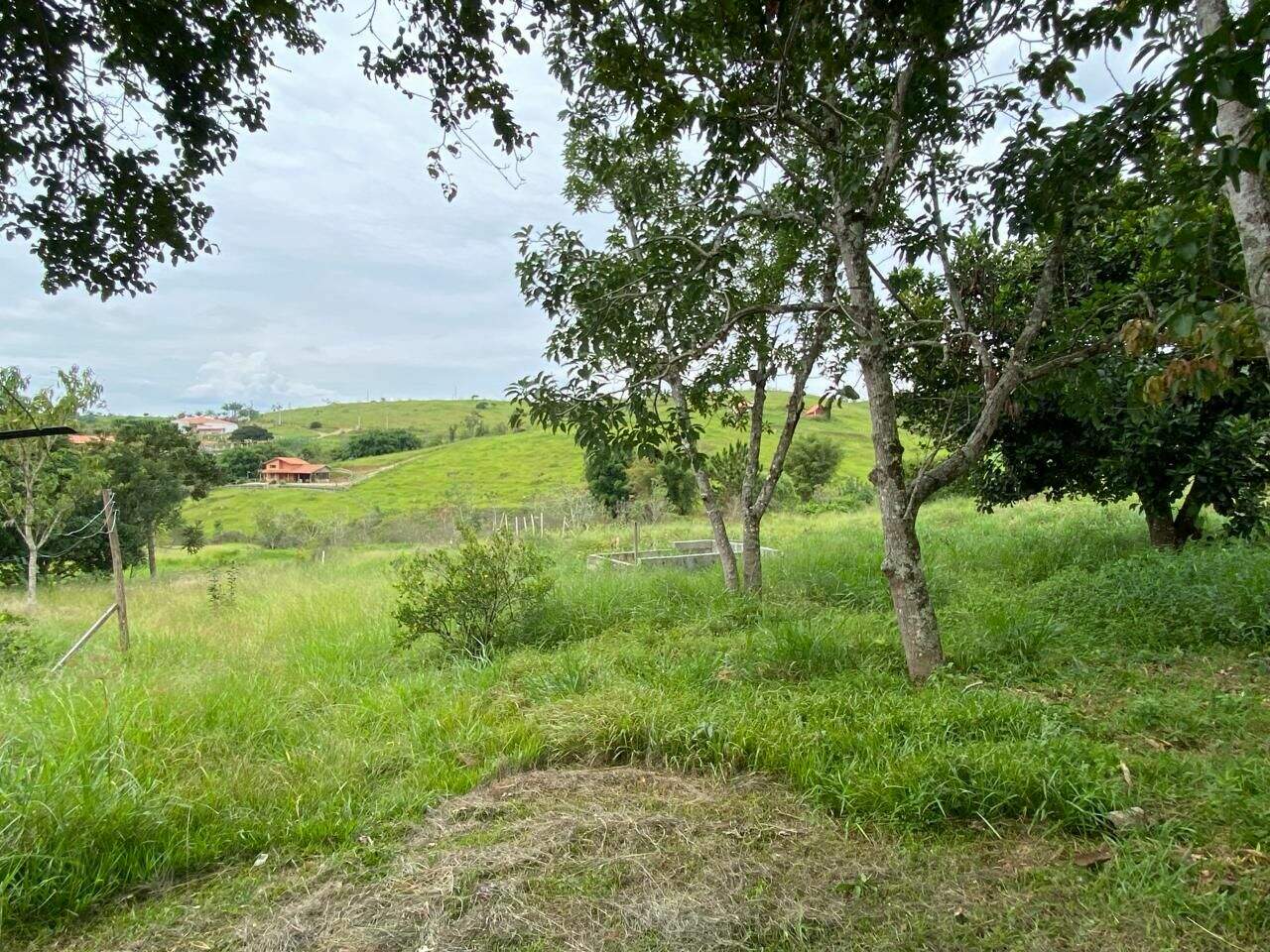 Chácara à venda no Nova Ponte Alta: 
