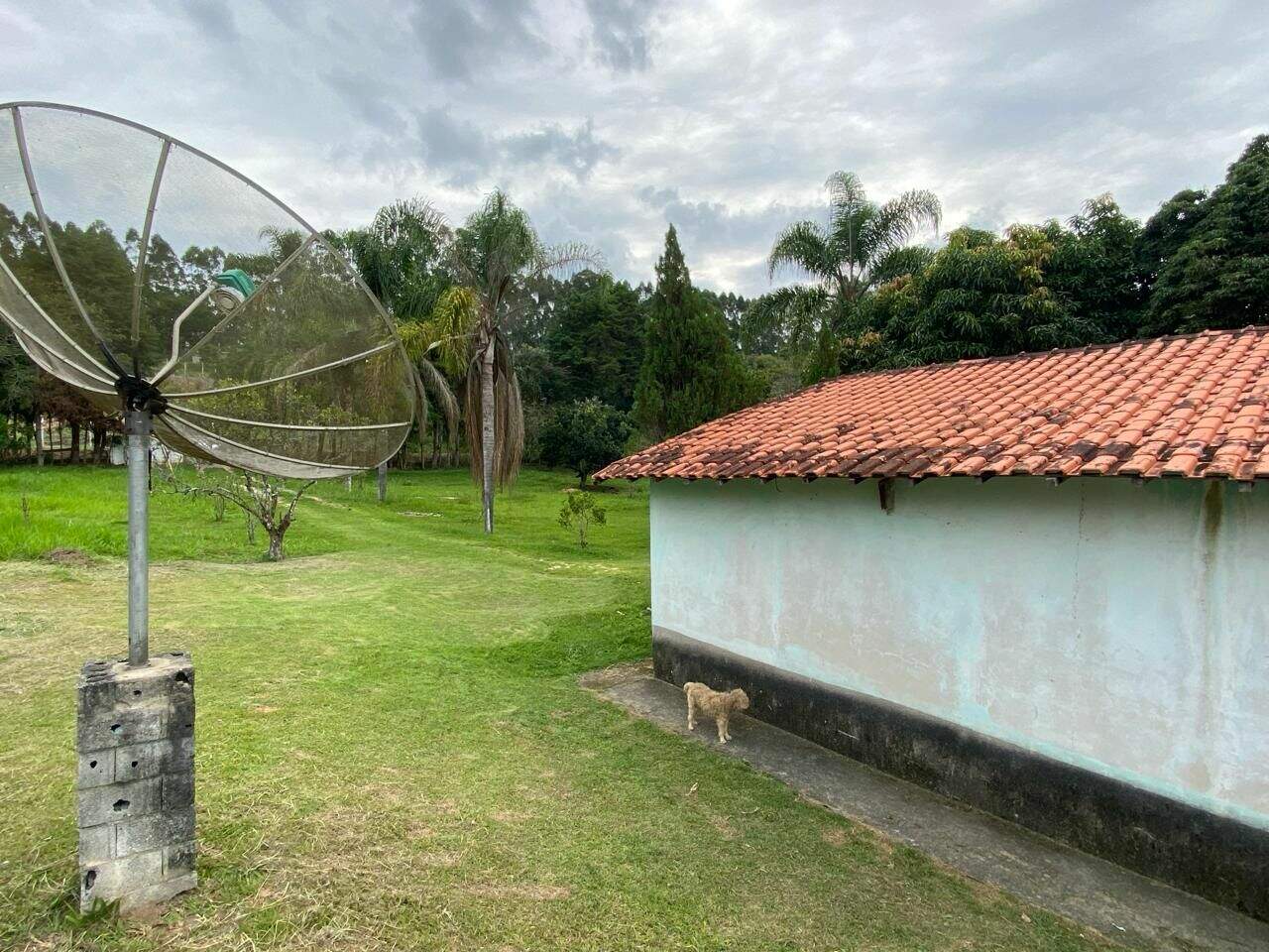 Chácara à venda no Nova Ponte Alta: 
