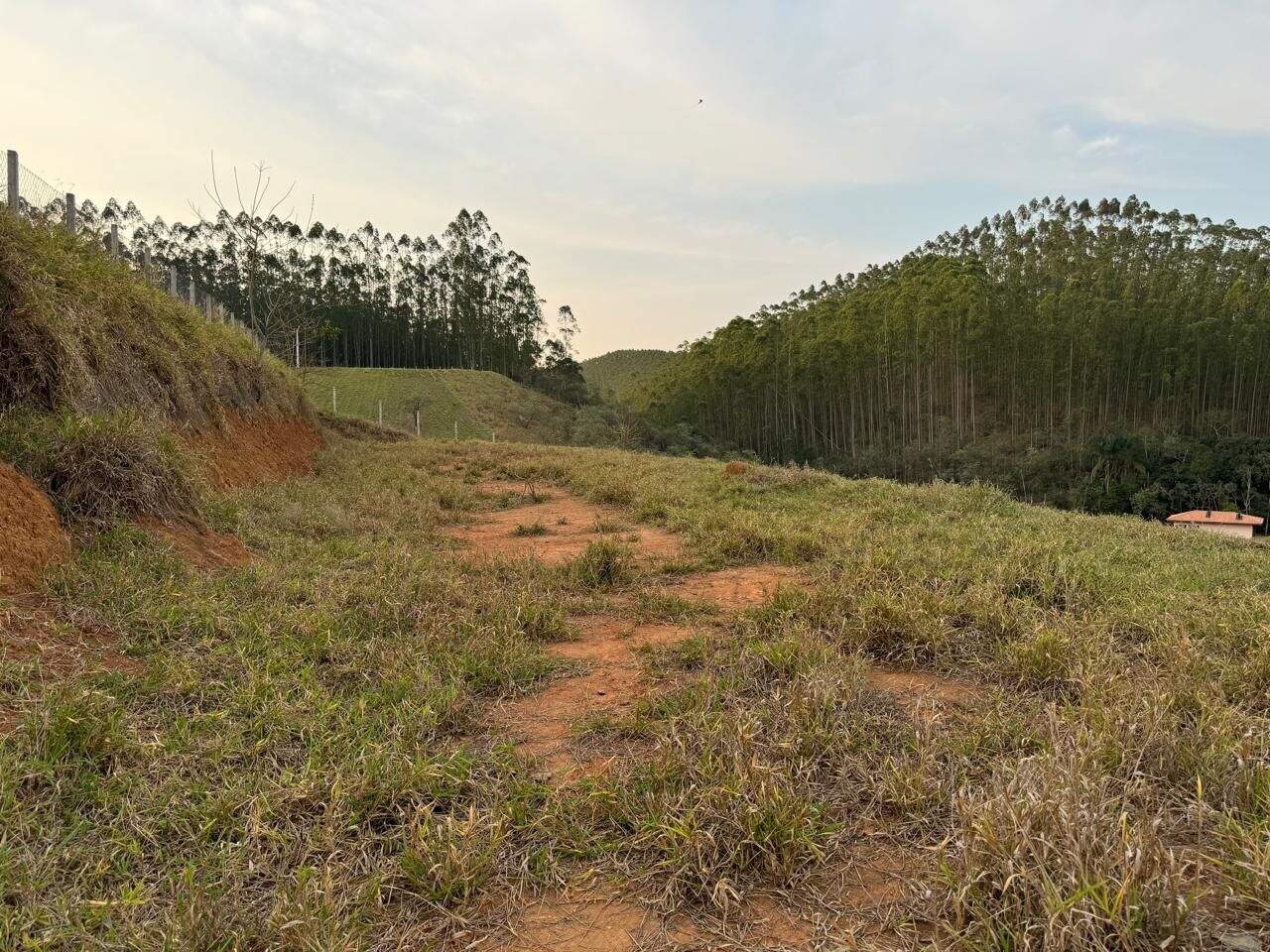 Terreno à venda no Freguesia da Escada: 