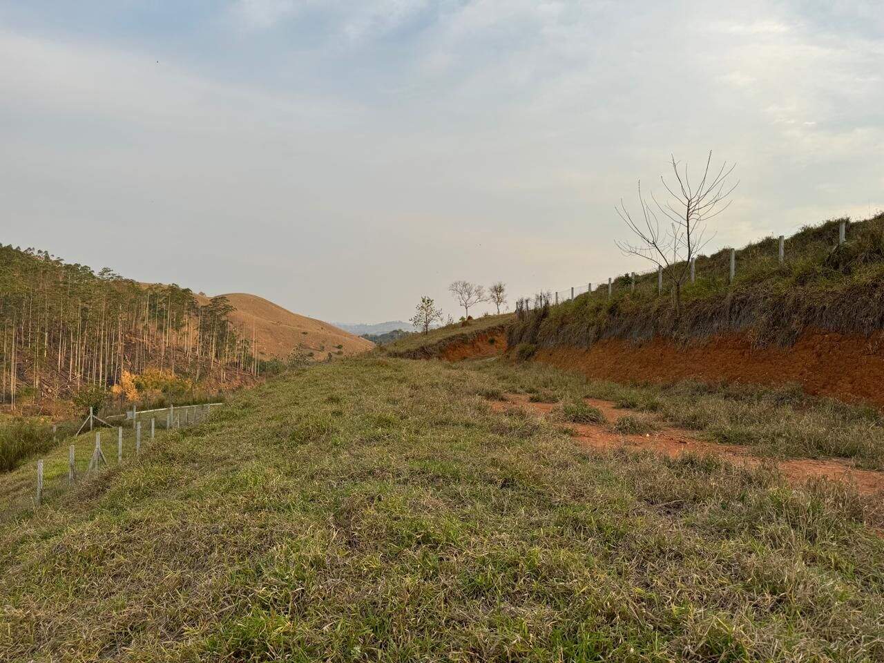 Terreno à venda no Freguesia da Escada: 