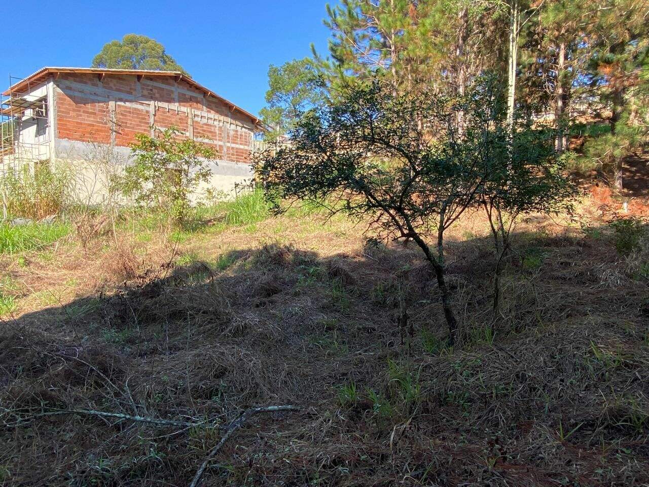 Terreno à venda no Ponte Alta: 