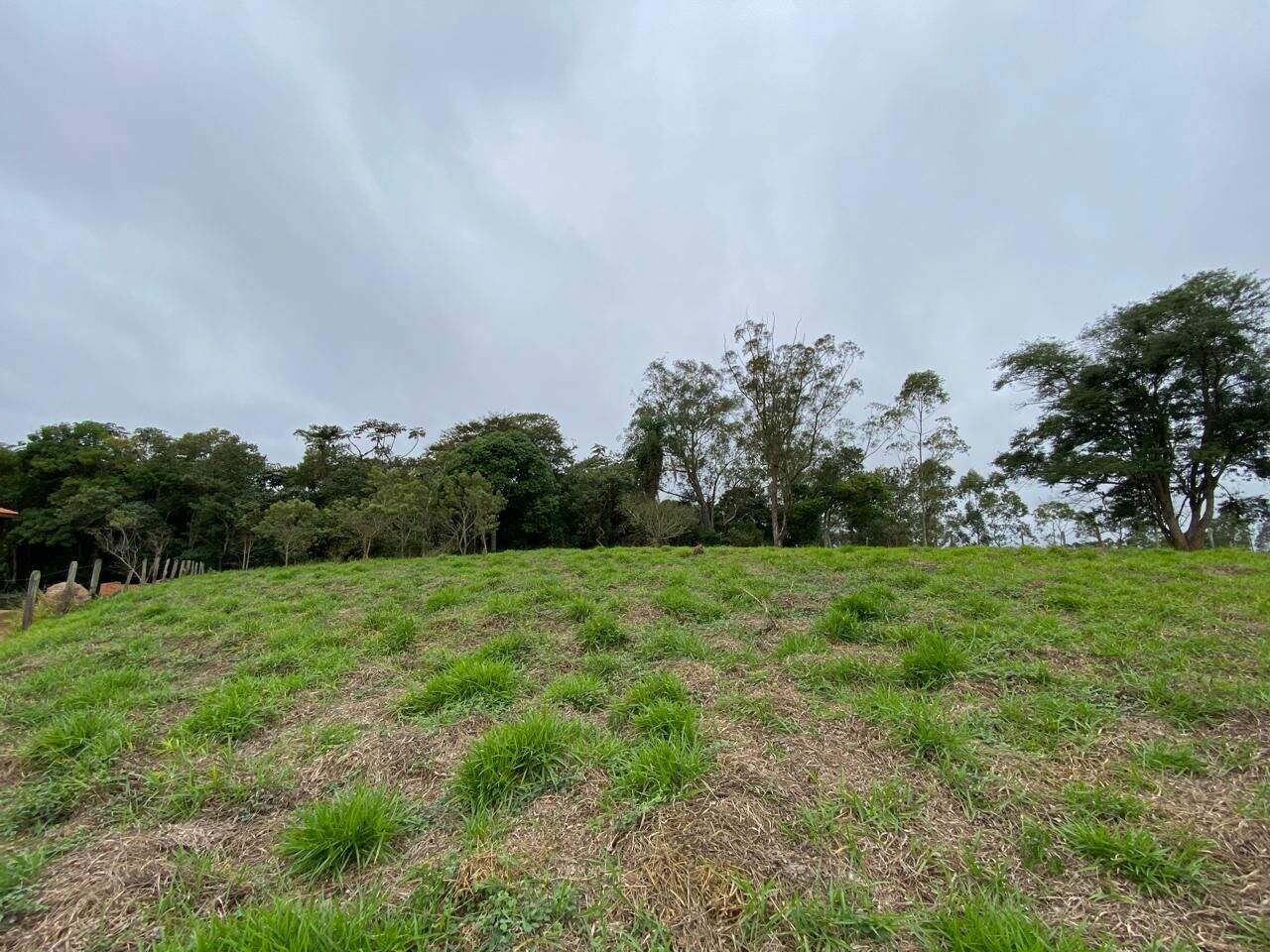 Terreno à venda no Luiz Carlos: 