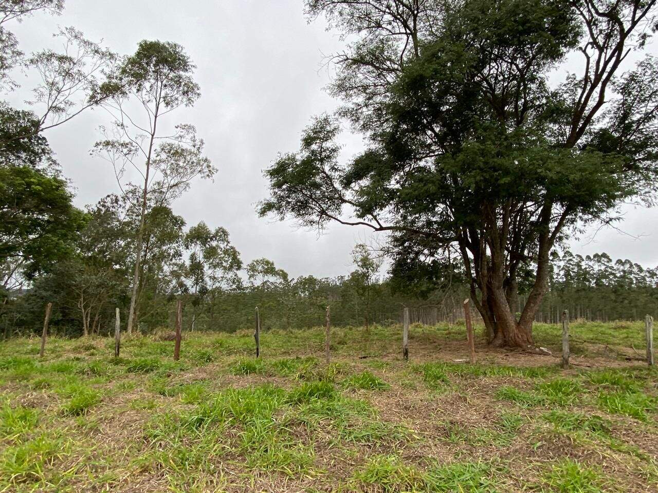 Terreno à venda no Luiz Carlos: 