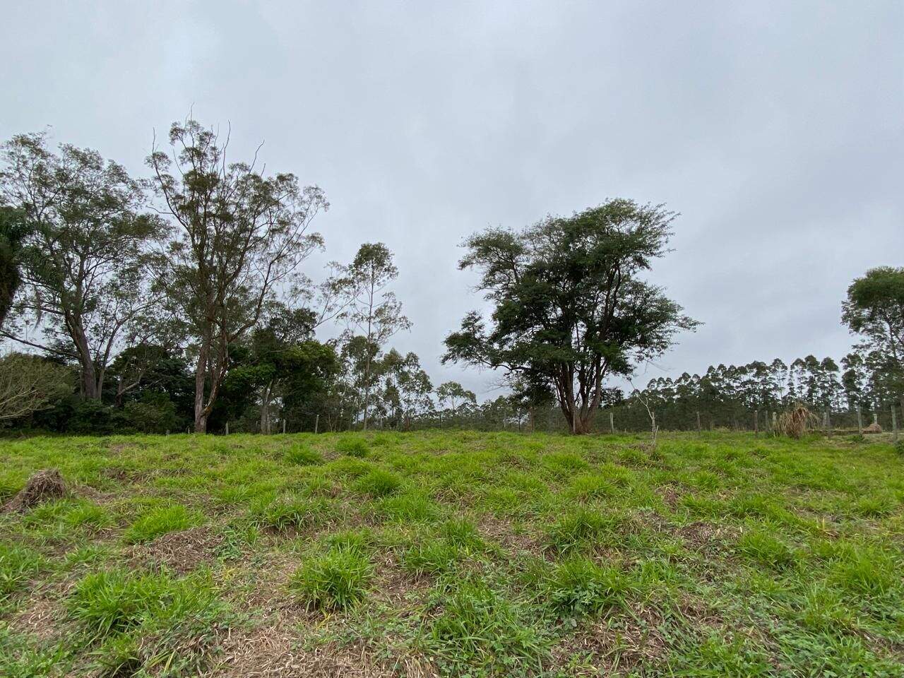 Terreno à venda no Luiz Carlos: 