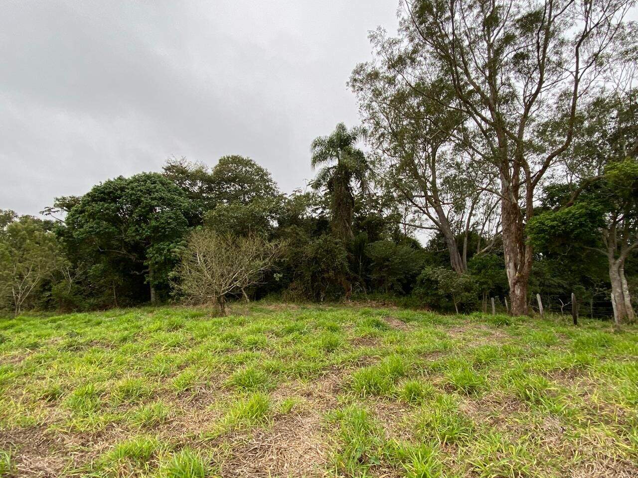 Terreno à venda no Luiz Carlos: 