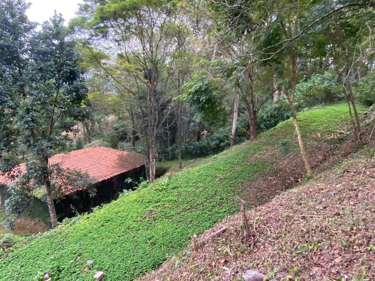 Terreno à venda no Fazenda Paião (Alpes de Guararema): 