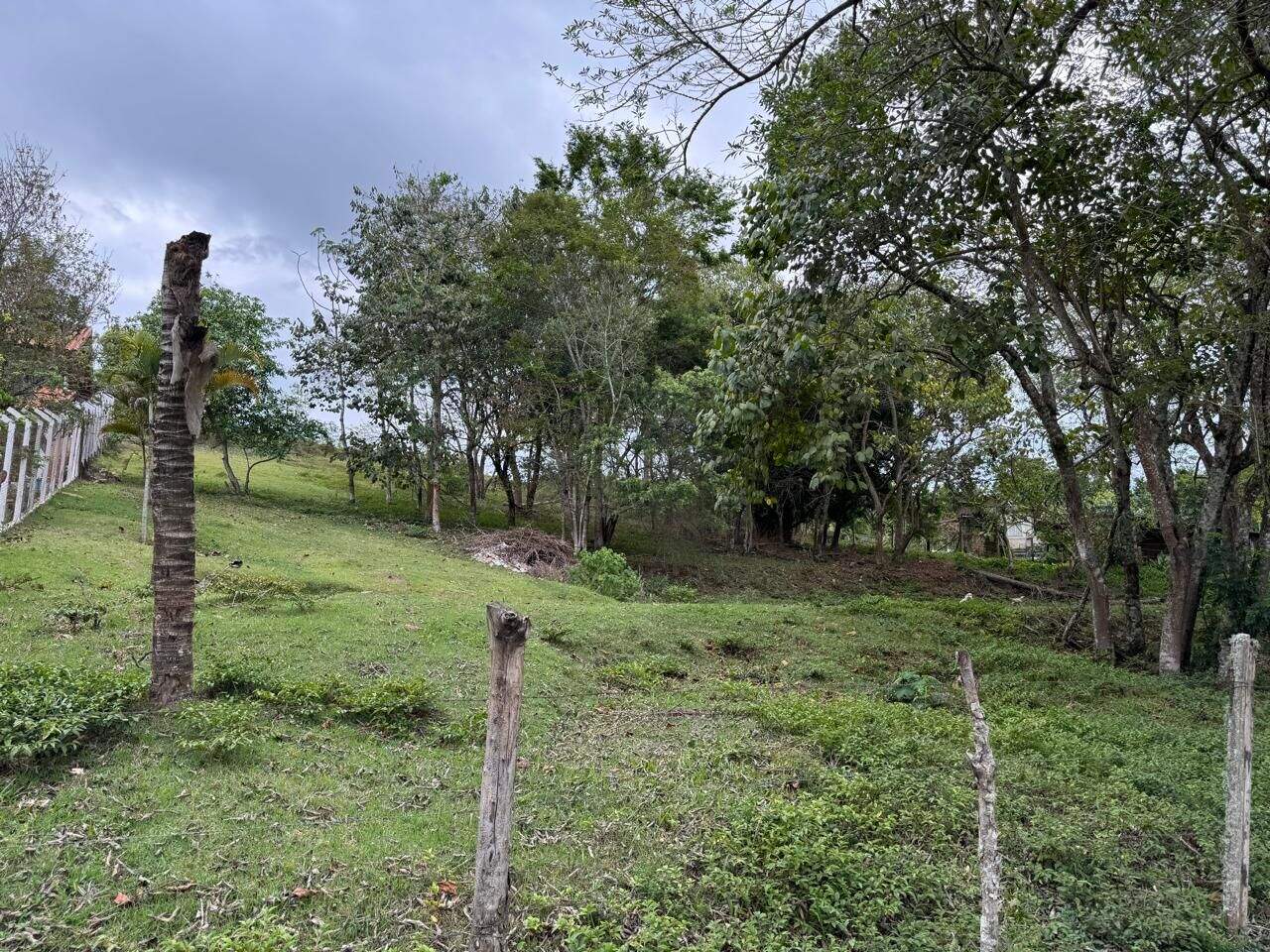 Terreno à venda no Paião: 