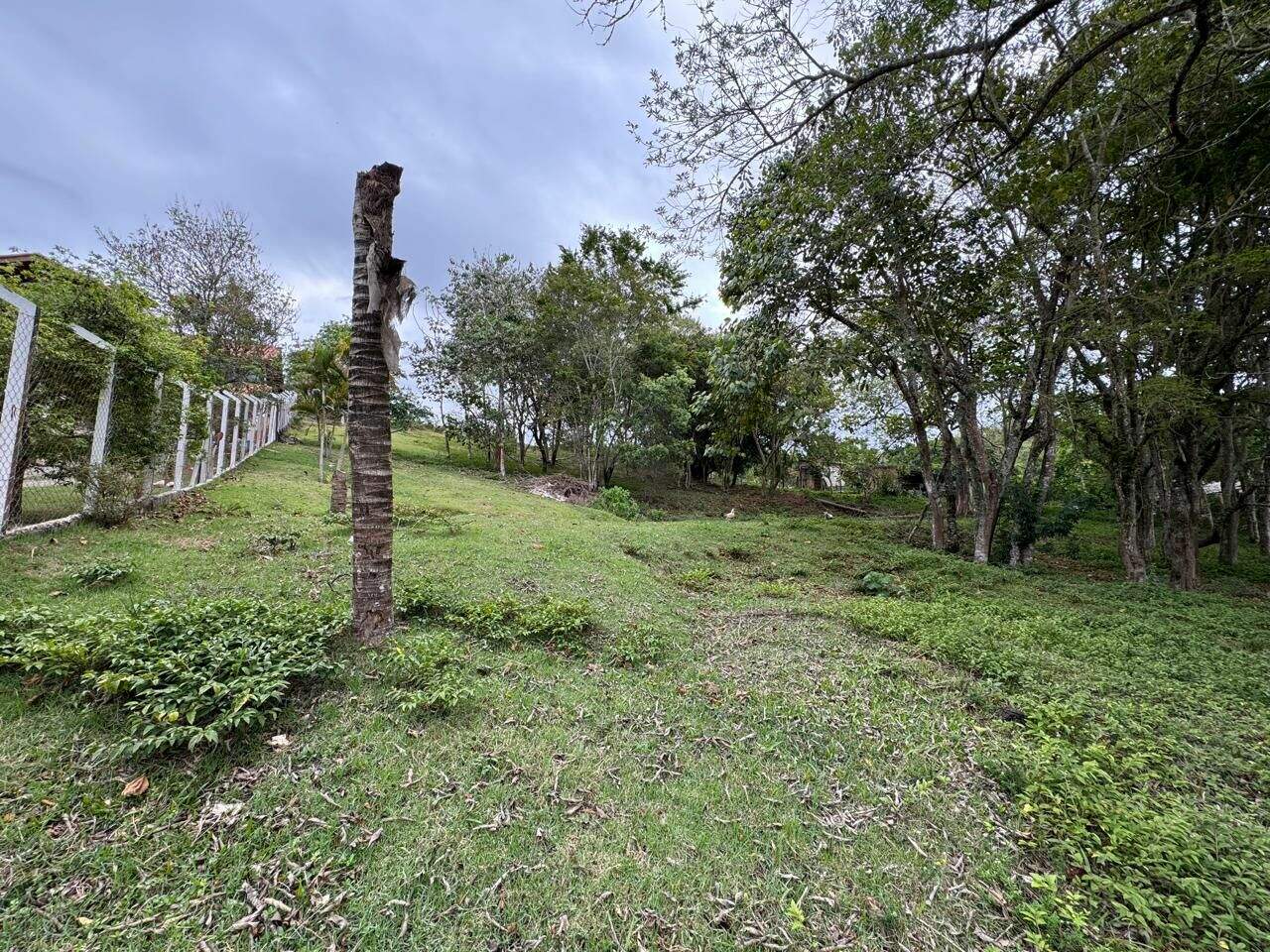 Terreno à venda no Paião: 