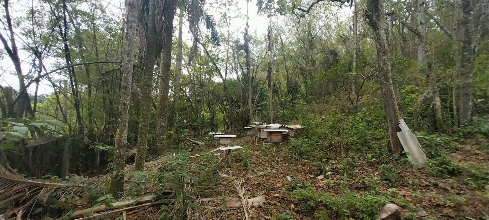 Terreno à venda no Paião: 