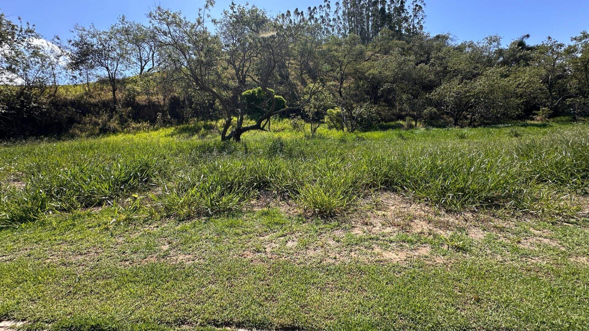 Terreno à venda no Itaoca: 