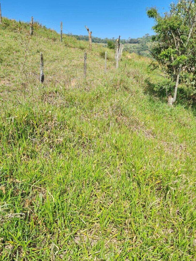 Terreno à venda no Ipiranga: 