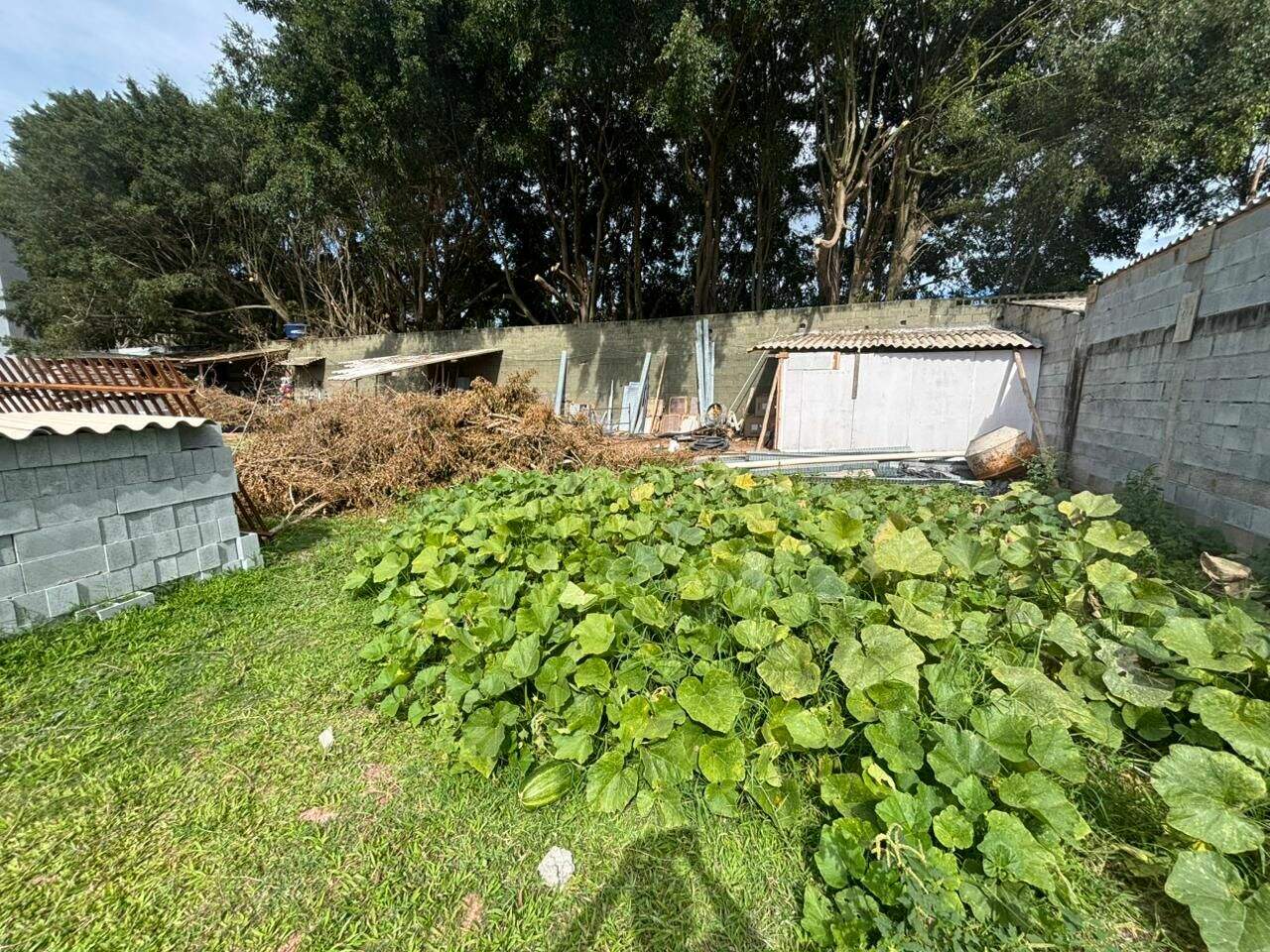 Terreno à venda no Itapema: 