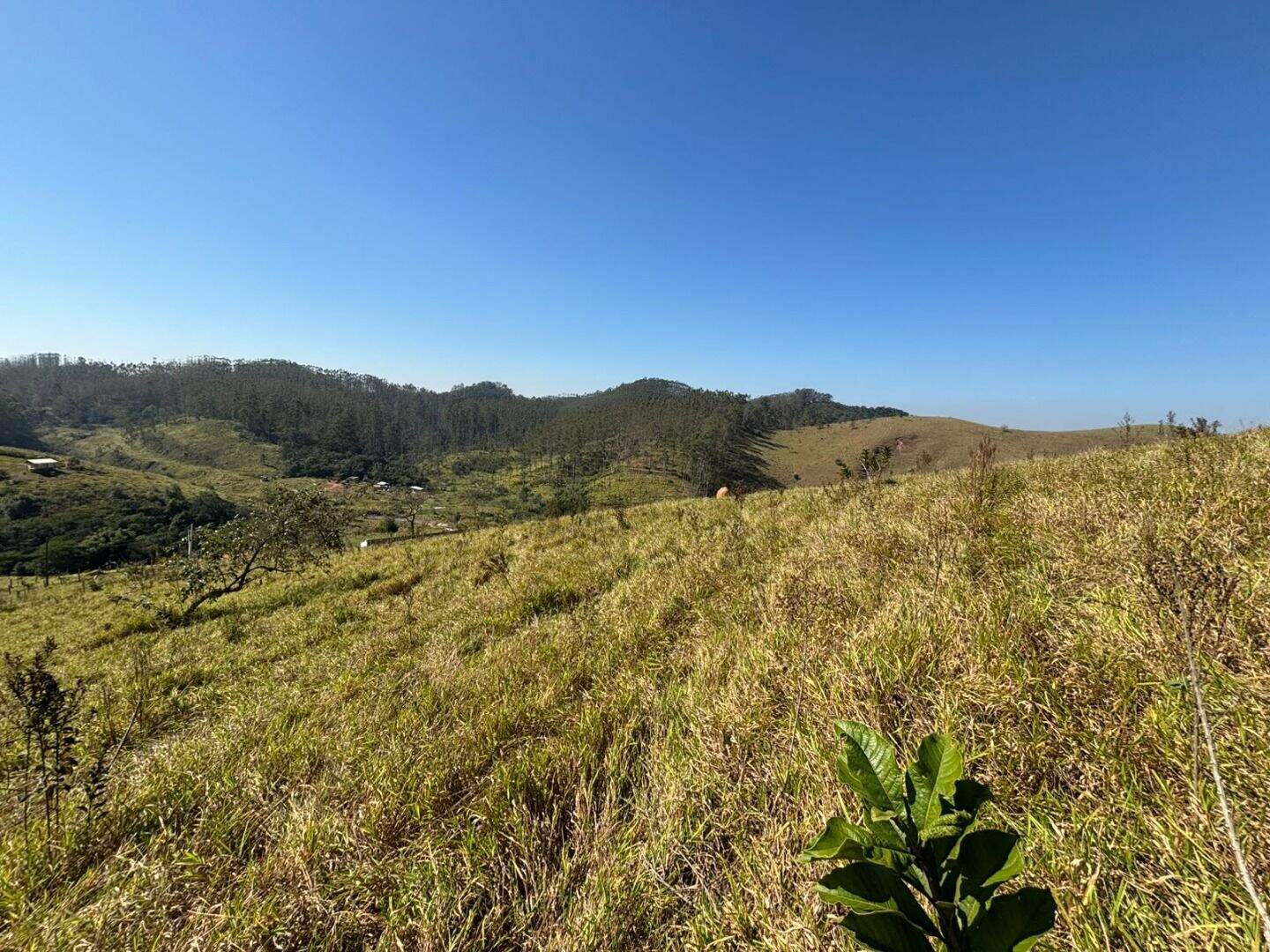 Terreno à venda no Itaoca: 