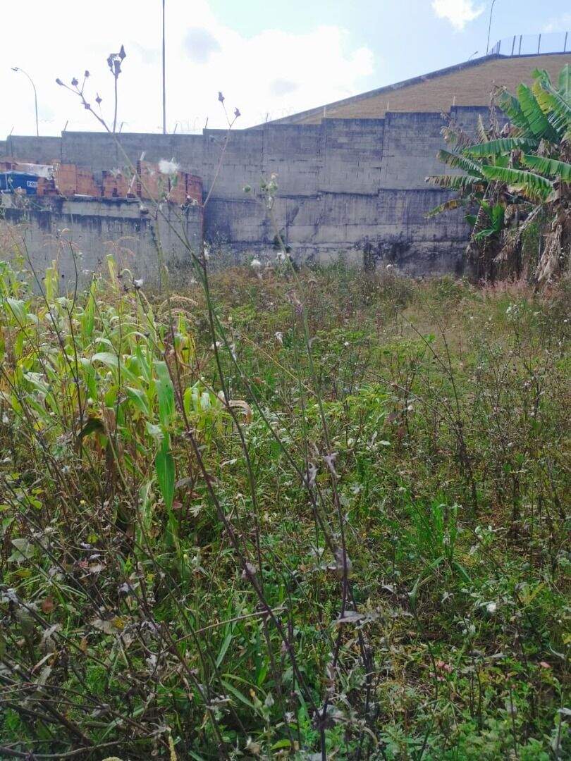 Terreno à venda no Jardim Luiza: 
