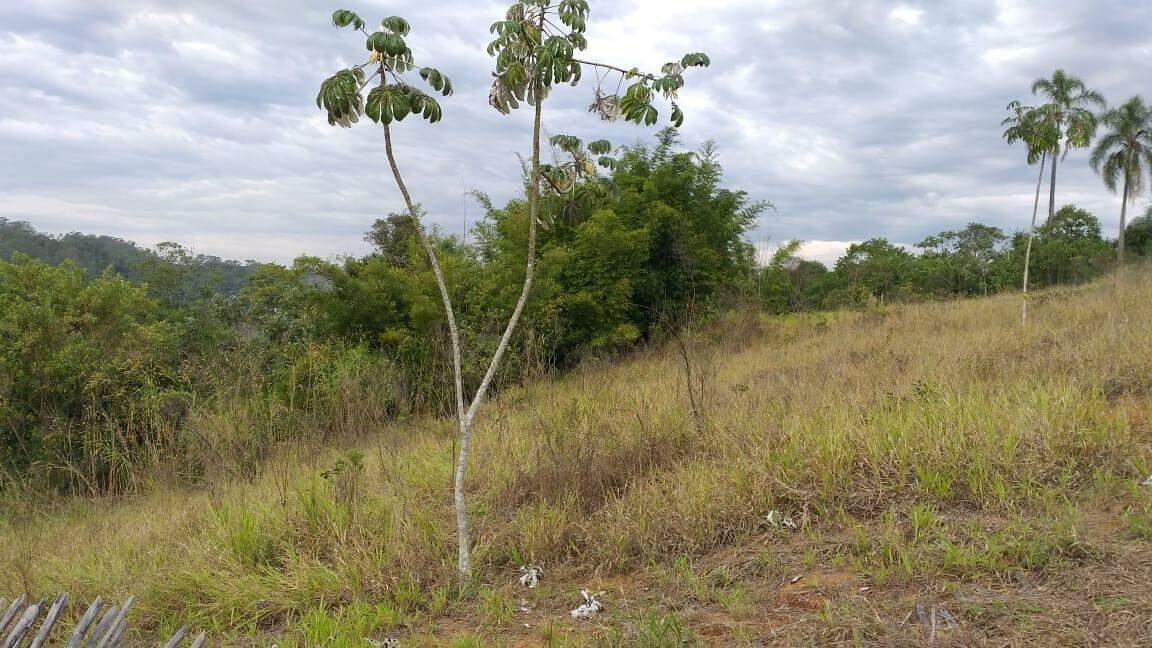 Terreno à venda no Freguesia da Escada: 