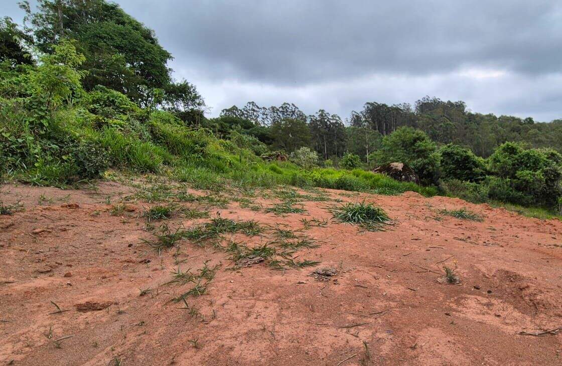 Terreno à venda no Paião: 