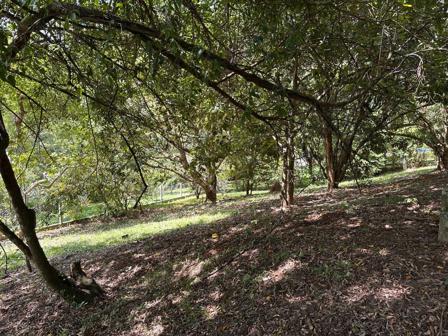 Terreno à venda no Fazenda Paião (Alpes de Guararema): 