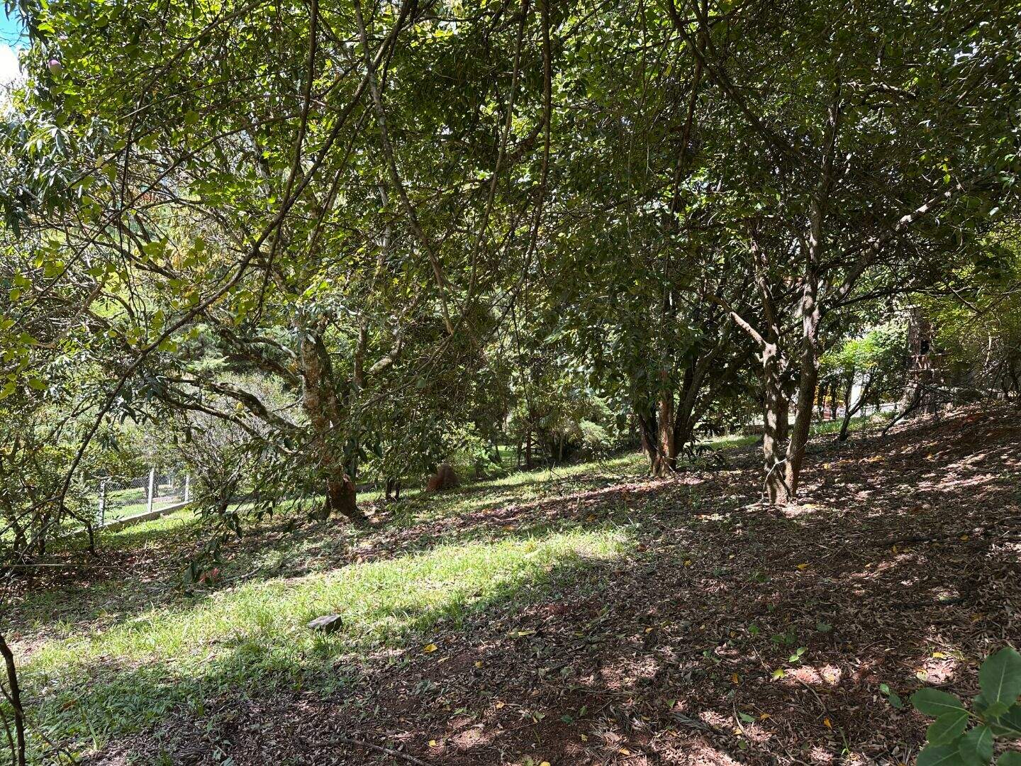 Terreno à venda no Fazenda Paião (Alpes de Guararema): 