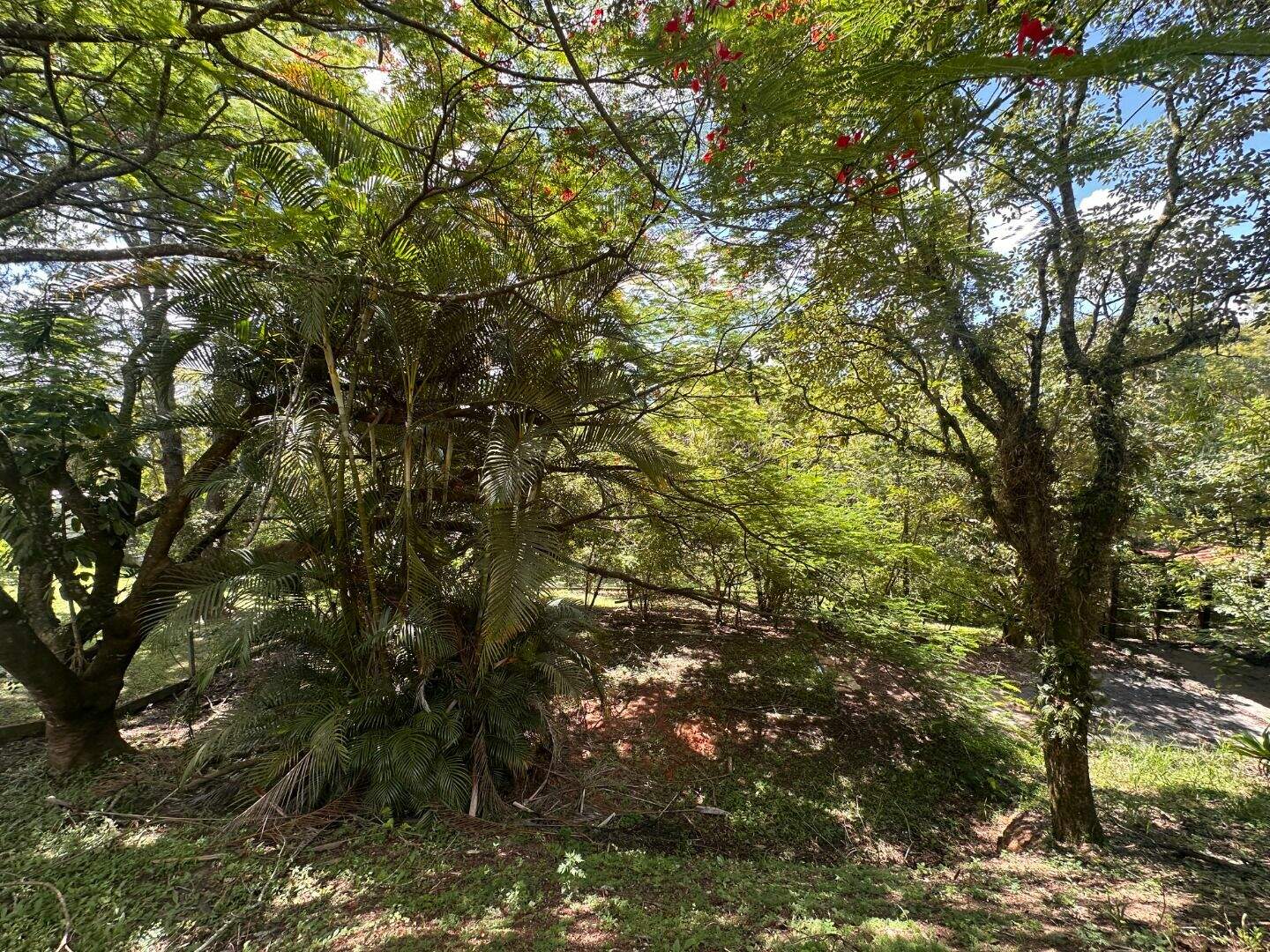 Terreno à venda no Fazenda Paião (Alpes de Guararema): 